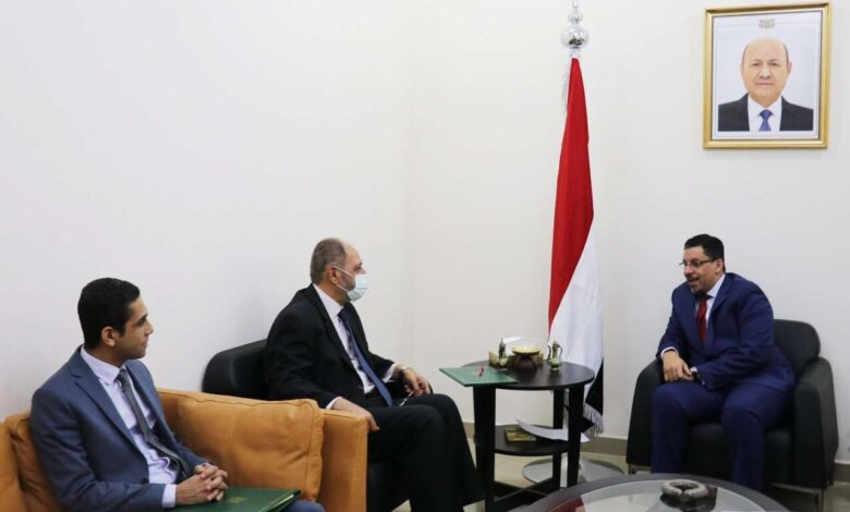 مصر تؤكد دعمها لمجلس القيادة الرئاسي ووحدة واستقرار اليمن