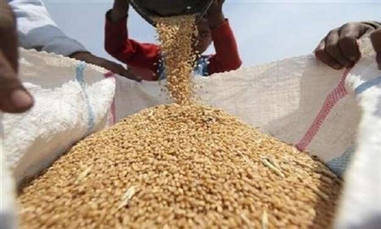 حل وشيك لمشكلة القمح في اليمن