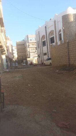 سكان حي حاشد بالمنصورة يناشدون بتنفيذ حملة لمكافحة البعوض