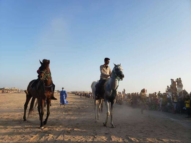 أبناء الشدادي يتصدران وسالم انور ثالثا في سباق الخيول الأول بمحافظة أبين